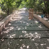 باغ-فروشی-500-متر-شهریار-فردوسبه