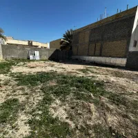 فروش زمین در نخلستان