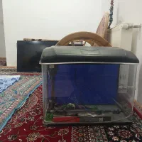 آکواریوم شرکتی