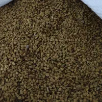 فروش شنبلیله