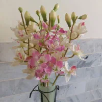 ۵ شاخه گل
