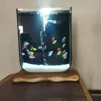 اکواریوم