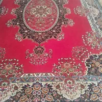 فرش|فرش|دهگلان, |دیوار