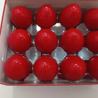 بالم لب . رژلب پیچی. کلیپس.  مداد چشم.