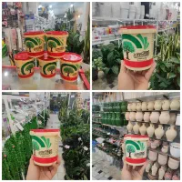 چسب پیوند درخت پتوس شامادورا کوکوپیت نشا بذر کود