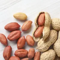عرضه کننده بذر بادام زمینی