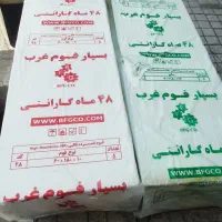 فوم سرد