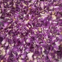 گل محمدی تازه برا امسال
