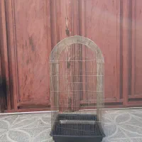 قفسه پرنده