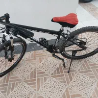 دوچرخه ویوا
