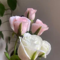 هنر دست و طبیعت