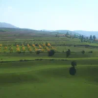 زمین-جهادکشاورزی-جنب-دهکده-سبز