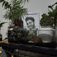 تنگ. شیشه|ماهی|تهران, شهرک شریعتی|دیوار