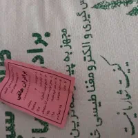 بذر ماشک