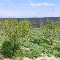 باغچه ۱۰۰۰متری سهیلیه کریم آباد
