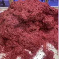 سرمایه گذاری مطمئن در زمینه زعفران و صادرات زعفران