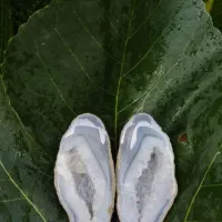 سنگ کلکسیونی