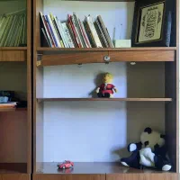 کتابخانه و پایه گلدان