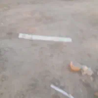 کانکسهای نو و دست دو