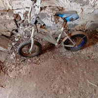 ۴ عدد دوچرخه خورموج