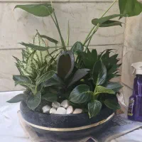 گلدان با گل