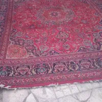 فرش|فرش|زنجان, |دیوار