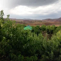 باغ ویلا