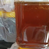 عسل ارگانیک بدون شکر از زنبوردار