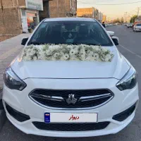 شاهین اتوماتیک مدل ۱۴۰۳، بسیار تمیز و خانگی