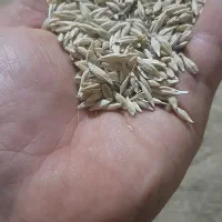 جوآبی