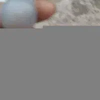 برای کسب و کار ایران عزیزم