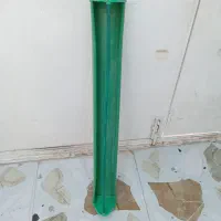 دانه خوری کبوتر