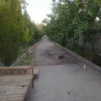 باغ و باغچه