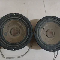میدرنج اصل