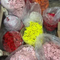 تولیدی شکوفه و درختچه مصنوعی و ملزومات گل مصنوعی