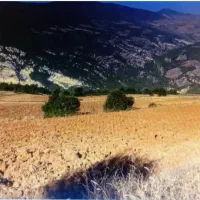 زمین-کشاورزی
