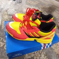 زدیکس اسپانیا