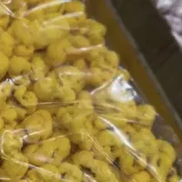 استخدام همکار آقا وخانم