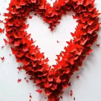 سیم کارت دائمی رند