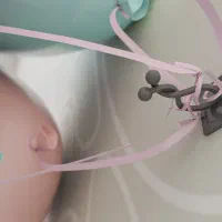 گیره پتوس|گل و گیاه طبیعی|اصفهان, قلعه طبره|دیوار