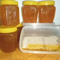 عسل درمانی طبیعی 100٪ ارگانیک زیر قیمت