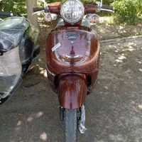 پاکشتی وینو