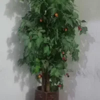 گل با گلدان