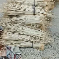 پیش سفید درجه یک موجوده