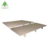 دو عدد کفی تخت یا زیر تشکی