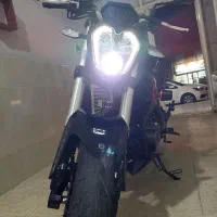 بنلی جفت خانگی