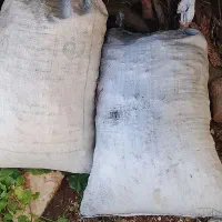 زغال دروشت