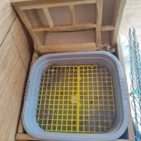 جای غذای خرگوش جای دسشویی خرگوش یونجه بند