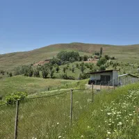 زمین باغی در طالقان