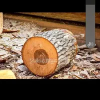 چوب و درخت شما را بابالاترین قیمت نقدا خریداریم